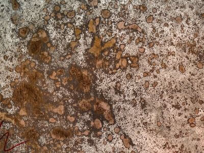 Professional basement flood restoration services services in Saint Louis